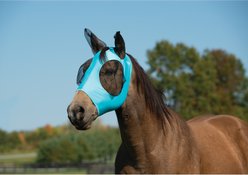 Weaver Equine Cooling Horse Fly Mask, Turquoise, Large