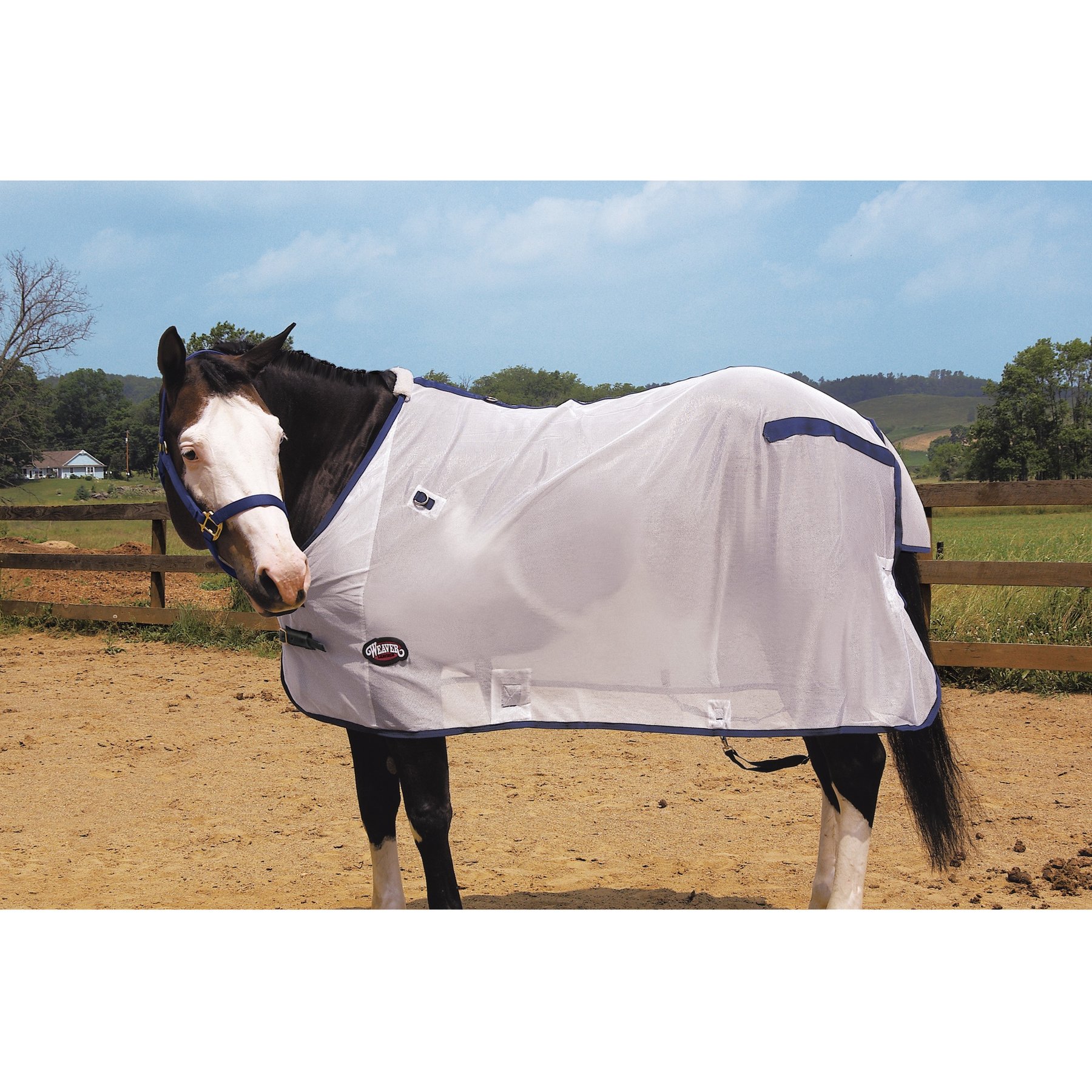 Weaver Equine Horse Fly Sheet, White, 74-in