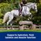 Show in main carousel: Farnam Apple Elite Electrolyte Paste Apple Flavor Horse Supplement, 60-mL syringe slide 7 of 11