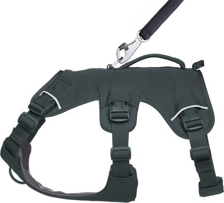 Show full view: Ruffwear Web Master Dog Harness, Basalt Gray, Medium: 27 to 32-in chest slide 5 of 7