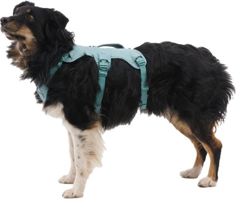 Show full view: Ruffwear Web Master Dog Harness, River Rock Green, XX-Small: 13 to 17-in chest slide 7 of 9