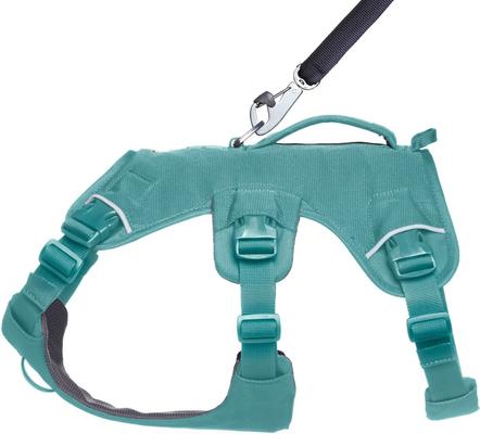Show full view: Ruffwear Web Master Dog Harness, River Rock Green, XX-Small: 13 to 17-in chest slide 4 of 9