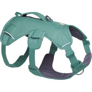 Ruffwear Web Master Dog Harness, River Rock Green, Medium: 27 to 32-in chest