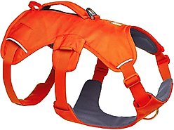 Ruffwear Web Master Dog Harness, Blaze Orange, Medium: 27 to 32-in chest