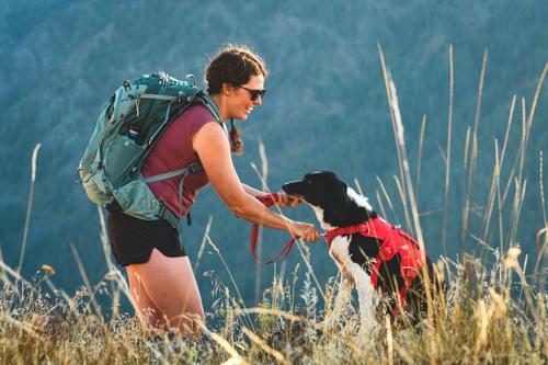 Show full view: Ruffwear Web Master Dog Harness, Red Canyon, Small: 22 to 27-in chest slide 6 of 10