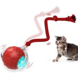 PawsPik Chirp & Chase Motion Activated Cat Ball with LED Lights, Red