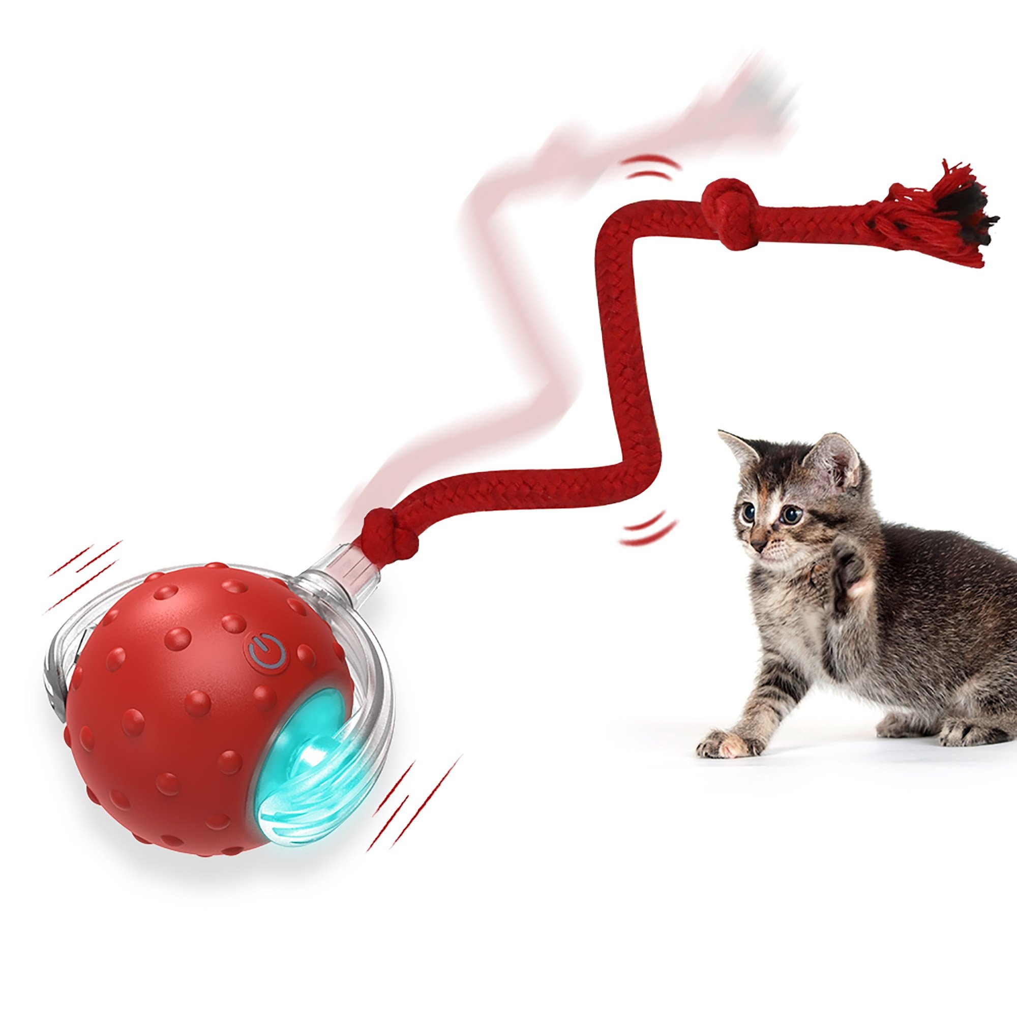 Motion Sensor Animal Chase Toy: Ultimate Fun for Pets & Kids