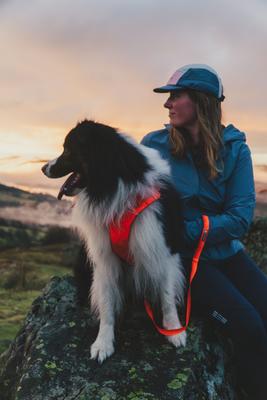 Show full view: Ruffwear Front Range Dog Harness, Blaze Orange, Small: 22 to 27-in chest slide 6 of 8