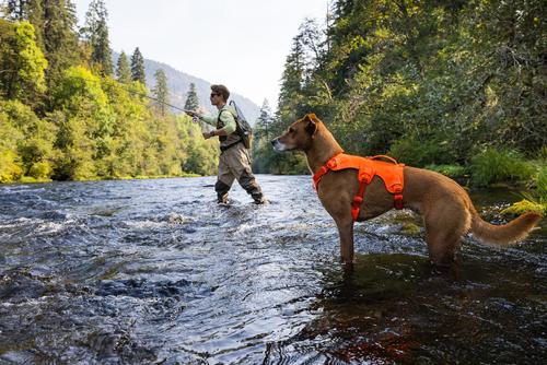 Show full view: Ruffwear Web Master Dog Harness, Blaze Orange, Small: 22 to 27-in chest slide 7 of 9