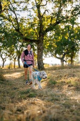 Show full view: Ruffwear Swamp Cooler Dog Harness, Biolumin Blue, Small: 22 to 27-in chest slide 7 of 10