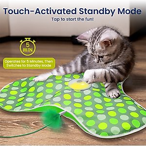 PawsPik Interactive Hide & Seek Concealed Feather Cat Toy, Green