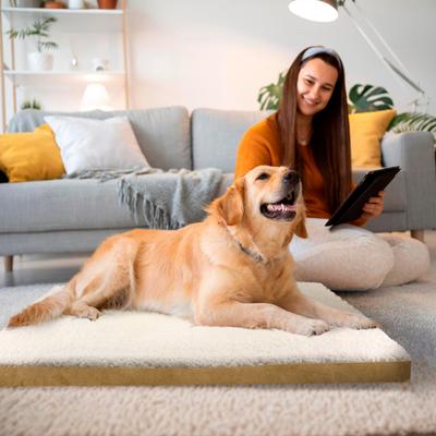 Show full view: Restology Precious Tails Sherpa Dog Crate Mat, Camel, Medium: 28-in slide 5 of 7