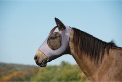 Weaver Equine Cooling Horse Fly Mask, Graphite, Large slide 2 of 2