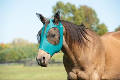 Weaver Equine Cooling Horse Fly Mask, Teal, Medium
