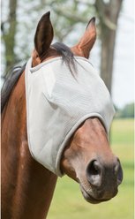 Weaver Equine Open Ear Horse Fly Mask, Gray, Small
