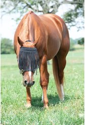 Weaver Equine Horse Face Fly Net, Black, Average slide 2 of 3