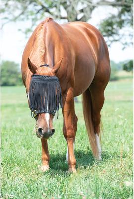 Show full view: Weaver Equine Horse Face Fly Net, Black, Average slide 3 of 3