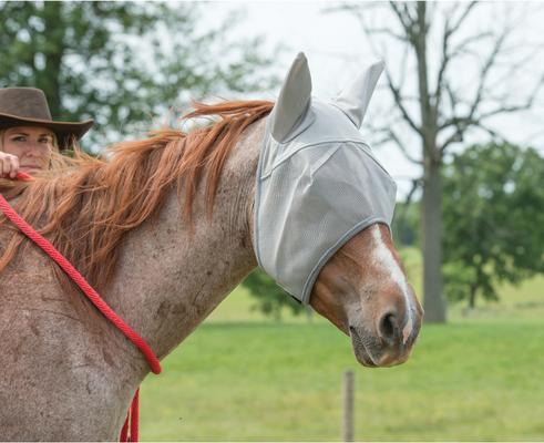 Show full view: Weaver Equine Covered Ear Horse Fly Mask, Gray, Large slide 2 of 2