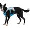 Show in main carousel: Ruffwear Swamp Cooler Dog Harness, Biolumin Blue, Small: 22 to 27-in chest slide 5 of 10