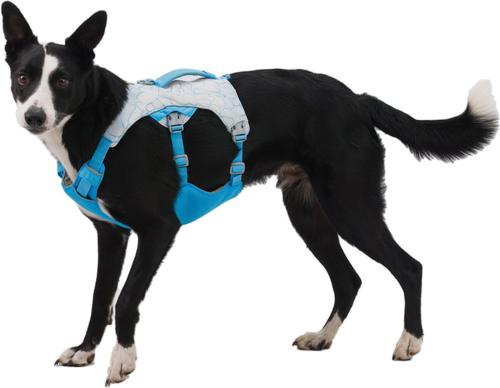 Show full view: Ruffwear Swamp Cooler Dog Harness, Biolumin Blue, Small: 22 to 27-in chest slide 5 of 10
