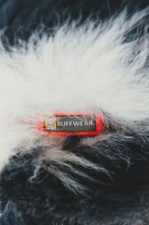 Ruffwear Front Range Dog Collar, Blaze Orange, 14 to 20-in neck slide 2 of 6