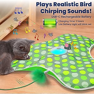 PawsPik Interactive Hide & Seek Concealed Feather Cat Toy, Green