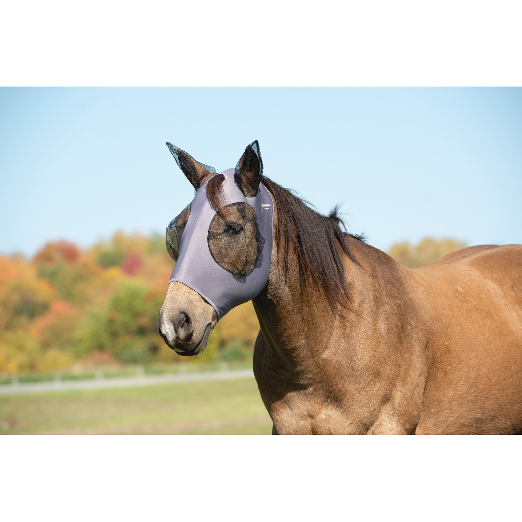 Weaver Equine Cooling Horse Fly Mask, Graphite, Medium