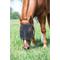 Show in main carousel: Weaver Equine Horse Face Fly Net, Black, Average slide 2 of 3