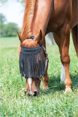 Show full view: Weaver Equine Horse Face Fly Net, Black, Average slide 2 of 3