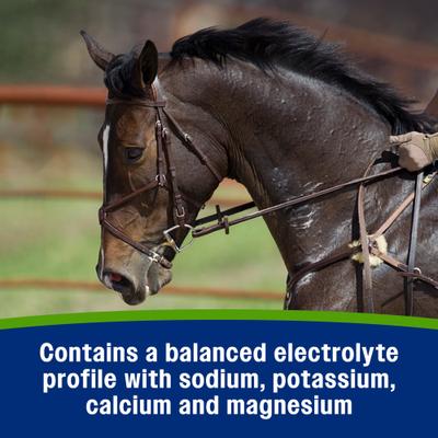 Show full view: Farnam Apple Elite Electrolyte Paste Apple Flavor Horse Supplement, 60-mL syringe slide 8 of 11