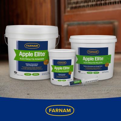 Show full view: Farnam Apple Elite Electrolyte Paste Apple Flavor Horse Supplement, 60-mL syringe slide 5 of 11