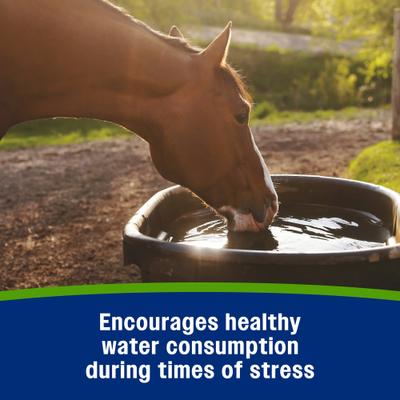 Show full view: Farnam Apple Elite Electrolyte Paste Apple Flavor Horse Supplement, 60-mL syringe slide 6 of 11