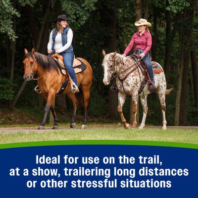 Show full view: Farnam Apple Elite Electrolyte Paste Apple Flavor Horse Supplement, 60-mL syringe slide 9 of 11