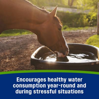 Show full view: Farnam Apple Elite Electrolyte Pellets Horse Supplement, 7.5-lb bucket slide 4 of 11