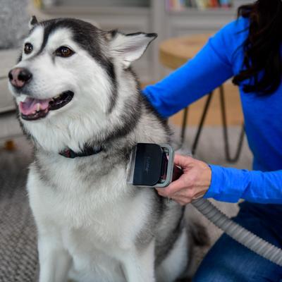 Show full view: FurMe Ultra Dog & Cat Grooming Vacuum Kit slide 7 of 10