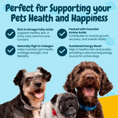 Show full view: HOTSPOT PETS Whole Pig Ears Dog Chew Treats, Large, 6 count slide 7 of 9