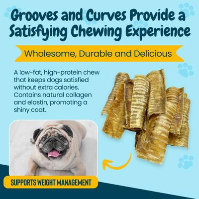 Show full view: HOTSPOT PETS 6-in Split Beef Trachea Dog Chew Treats, 24 count slide 7 of 9
