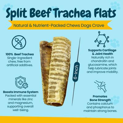 Show full view: HOTSPOT PETS 6-in Split Beef Trachea Dog Chew Treats, 24 count slide 4 of 9