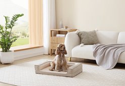 ThermaTec Cooling Mod Sofa Memory Foam Orthopedic Dog Bed with Removable Cover, Tan, Medium