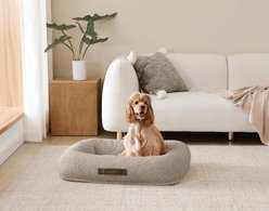 Arlee Home & Pet Bumper Box Memory Foam Orthopedic Dog Bed with Removable Cover, Tan, Medium