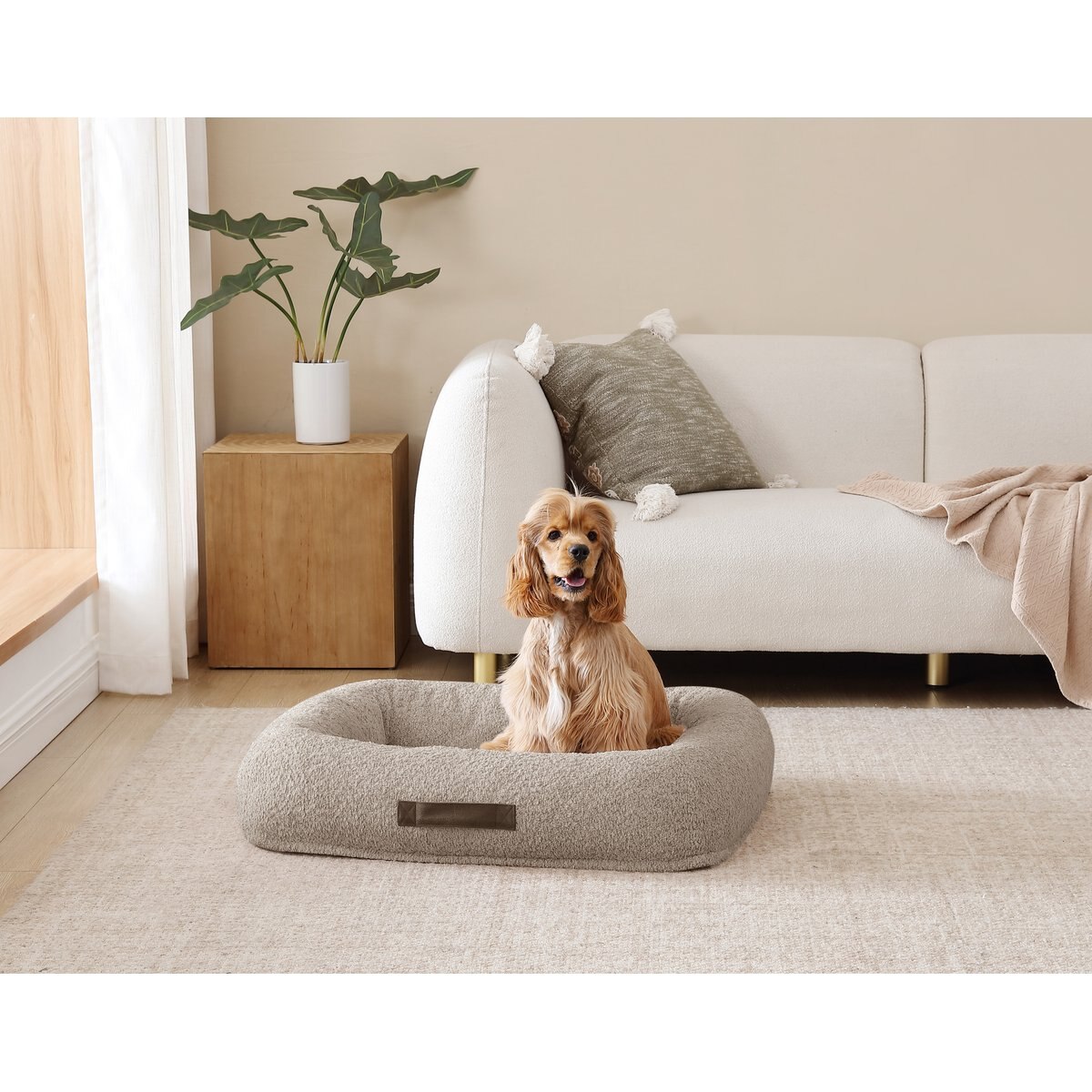 Arlee Home & Pet Bumper Box Memory Foam Orthopedic Dog Bed with Removable Cover, Tan, Medium