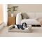 Show in main carousel: ThermaTec Cooling Mod Sofa Memory Foam Orthopedic Dog Bed with Removable Cover, Tan, Large slide 1 of 6