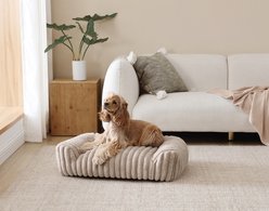 Arlee Home & Pet Saddle Sofa Memory Foam Orthopedic Dog Bed with Removable Cover, Tan, Medium