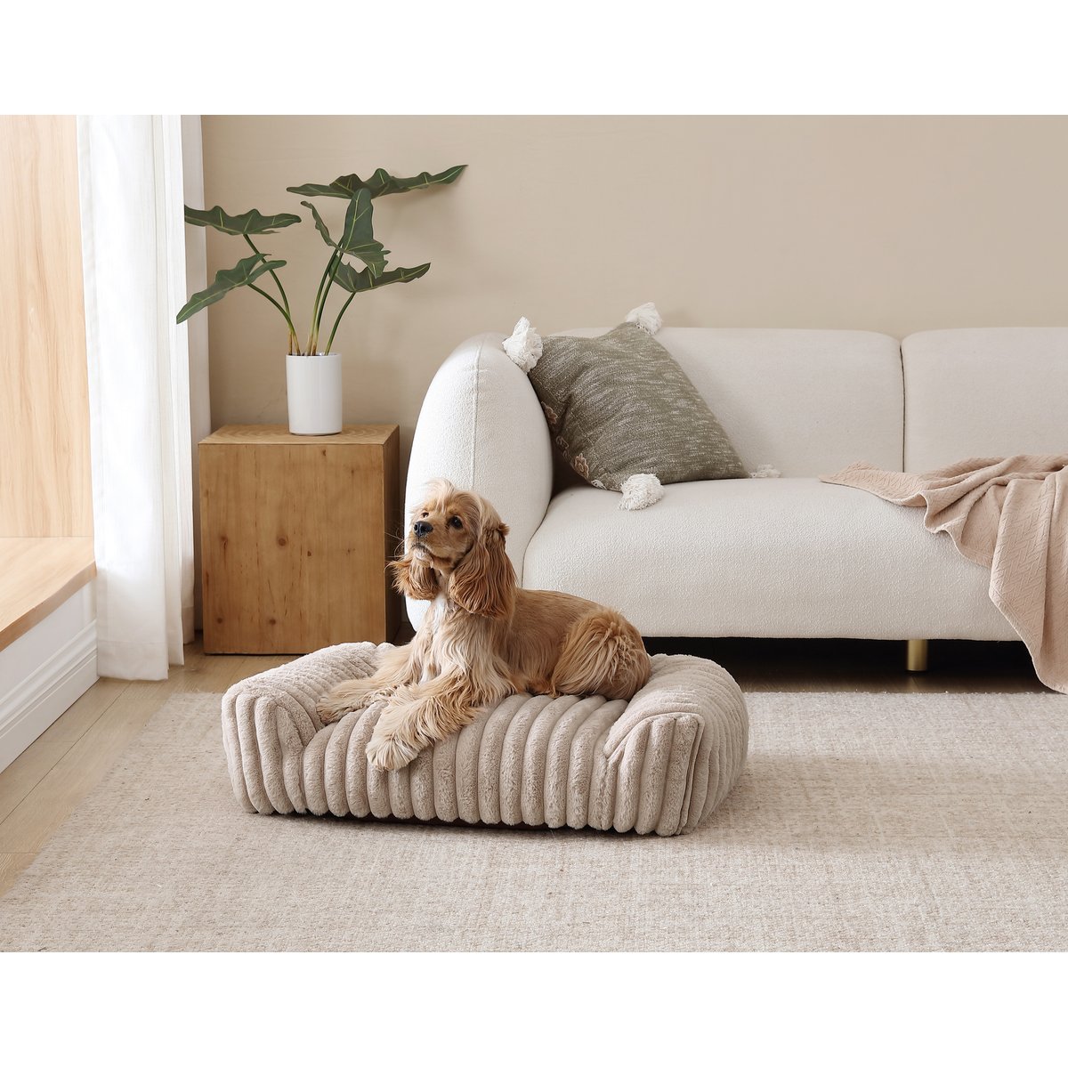 Arlee Home & Pet Saddle Sofa Memory Foam Orthopedic Dog Bed with Removable Cover, Tan, Medium