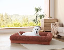 Arlee Home & Pet Slumber Box Ultimate Memory Foam Orthopedic Dog Bed with Removable Cover, Terracotta, Large slide 1 of 5