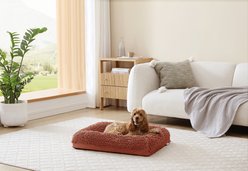 Arlee Home & Pet Slumber Box Ultimate Memory Foam Orthopedic Dog Bed with Removable Cover, Terracotta, Small