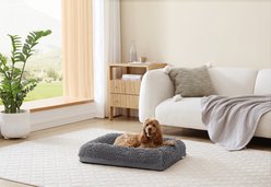 Arlee Home & Pet Slumber Box Ultimate Memory Foam Orthopedic Dog Bed with Removable Cover, Grey, Small
