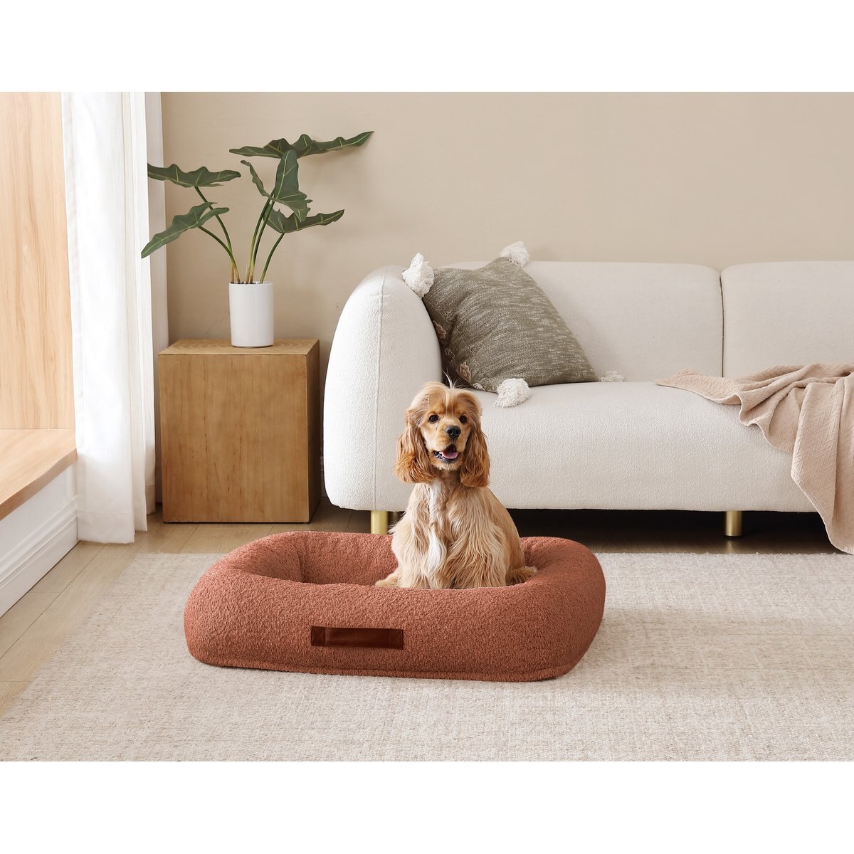 Arlee Home & Pet Bumper Box Memory Foam Orthopedic Dog Bed with Removable Cover, Terracotta, Medium