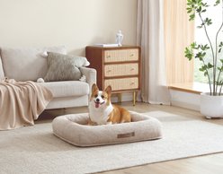 Arlee Home & Pet Bumper Box Memory Foam Orthopedic Dog Bed with Removable Cover, Tan, Large