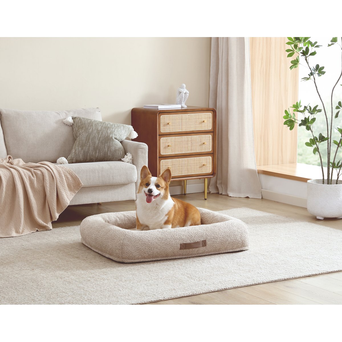 Arlee Home & Pet Bumper Box Memory Foam Orthopedic Dog Bed with Removable Cover, Tan, Large